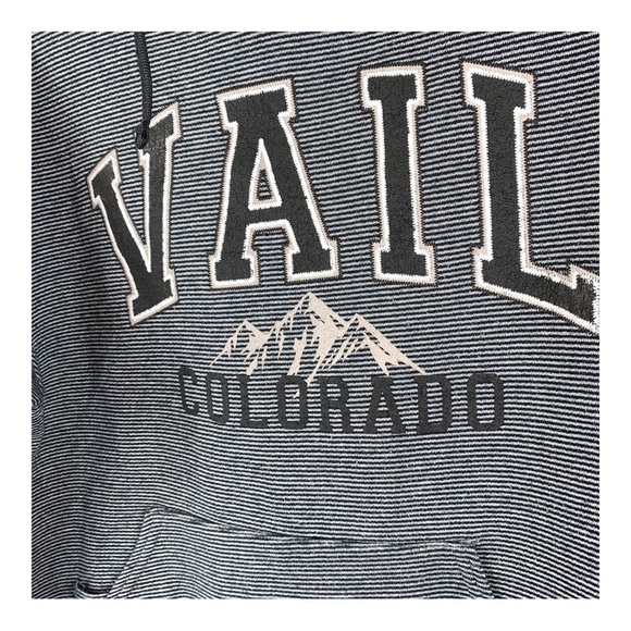 Vail Colorado Navy/Gray pin striped Hoodie Sweatshirt Sz M - Picture 4 of 10